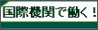 国際機関で働く