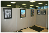剪画展